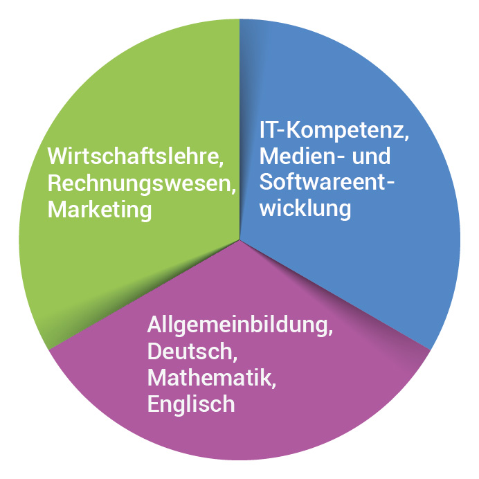 Abbildung: 1/3-Teilung der digBiz Ausbildung