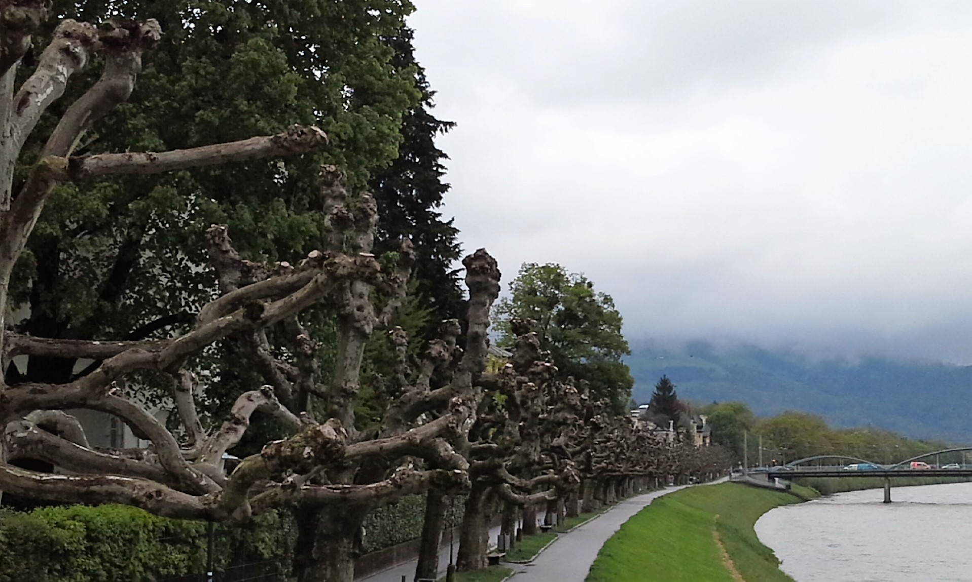 App-Rally „Tracking Europe“ in Salzburg--Bild-Nr. 3