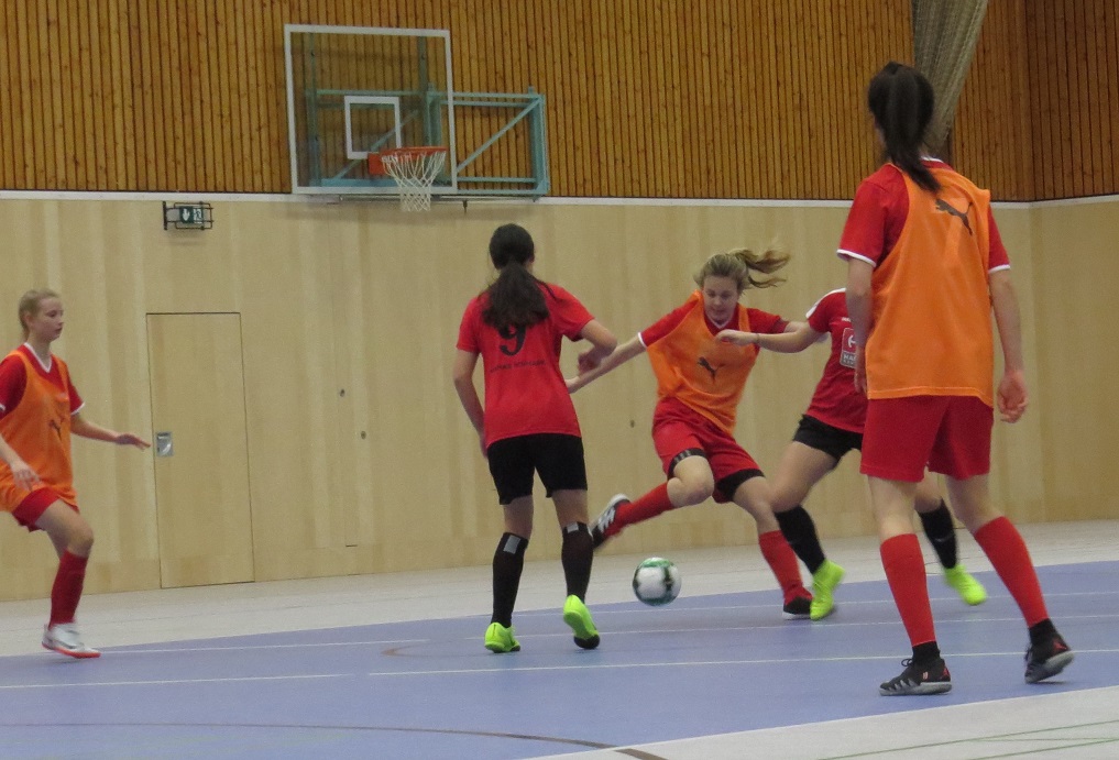 Hallenfußball Landesmeisterschaften Oberstufe/Damen, Rif 19.02.2019--Bild-Nr. 1