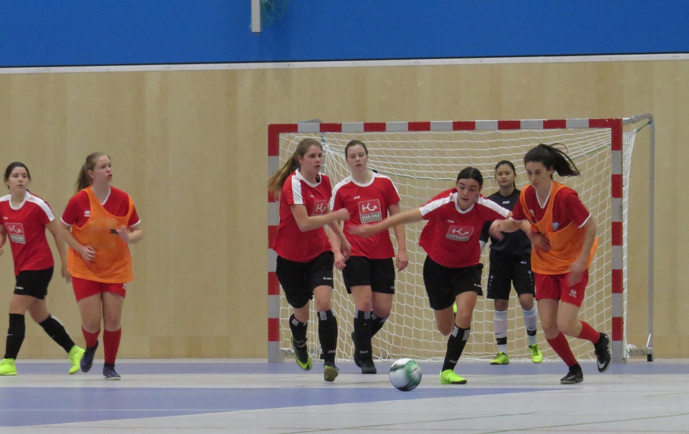 Hallenfußball Landesmeisterschaften Oberstufe/Damen, Rif 19.02.2019--Bild-Nr. 3