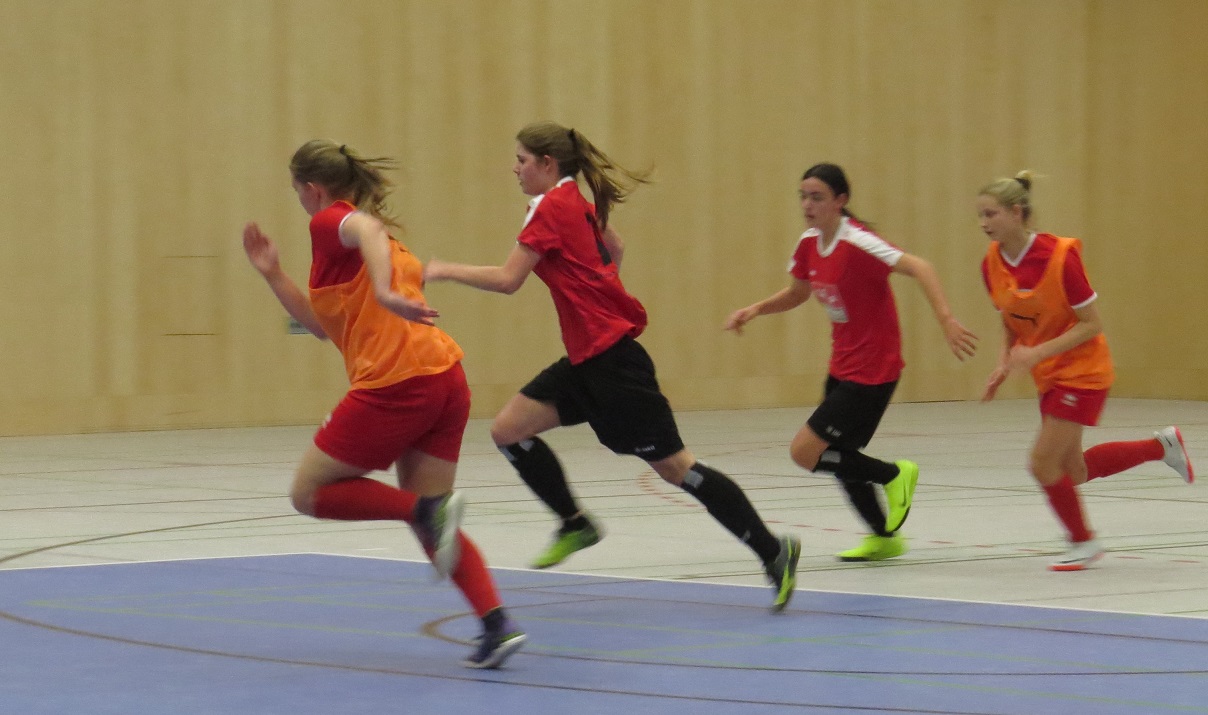 Hallenfußball Landesmeisterschaften Oberstufe/Damen, Rif 19.02.2019--Bild-Nr. 4