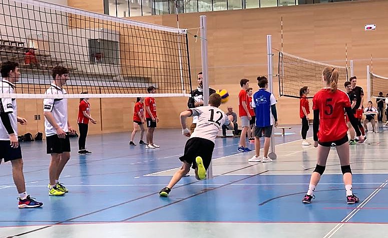 Volleyball-Mixed Landesmeisterschaften 6. Platz--Bild-Nr. 3