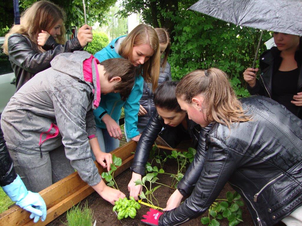 HAK.HAS Neumarkt bewirbt sich als Kooperationspartner für des Projekt „Making a Change!“--Bild-Nr. 5