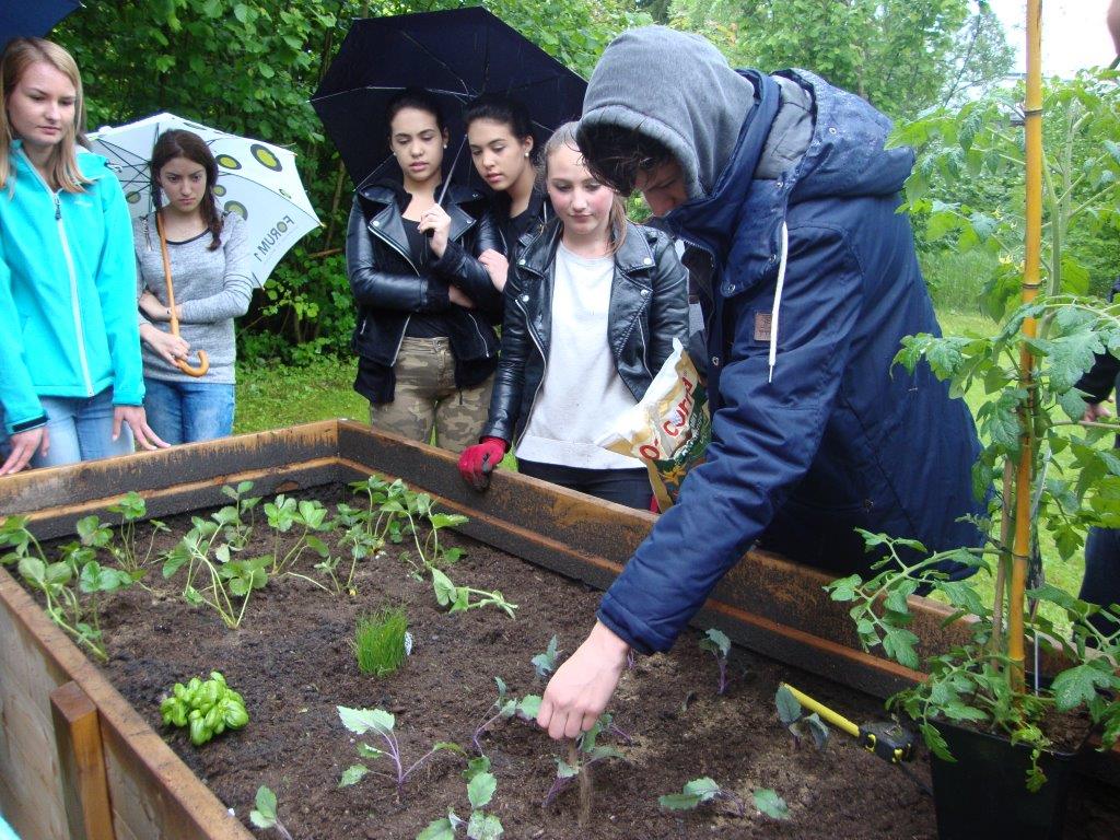 HAK.HAS Neumarkt bewirbt sich als Kooperationspartner für des Projekt „Making a Change!“--Bild-Nr. 6