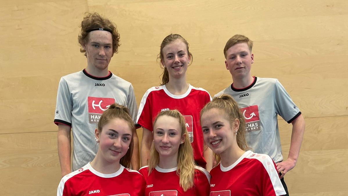 Volleyball-Mixed Landesmeisterschaften--Bild-Nr. 1