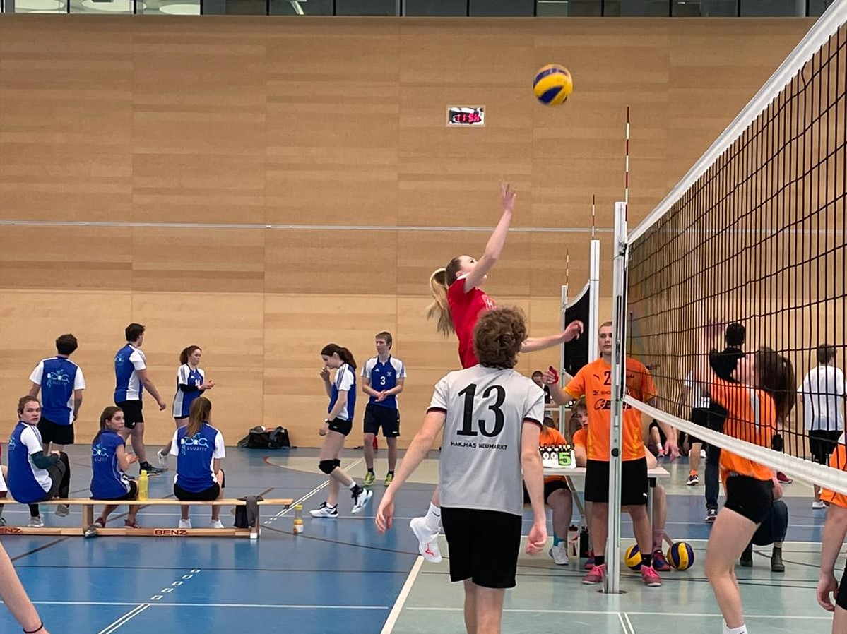 Volleyball-Mixed Landesmeisterschaften--Bild-Nr. 3