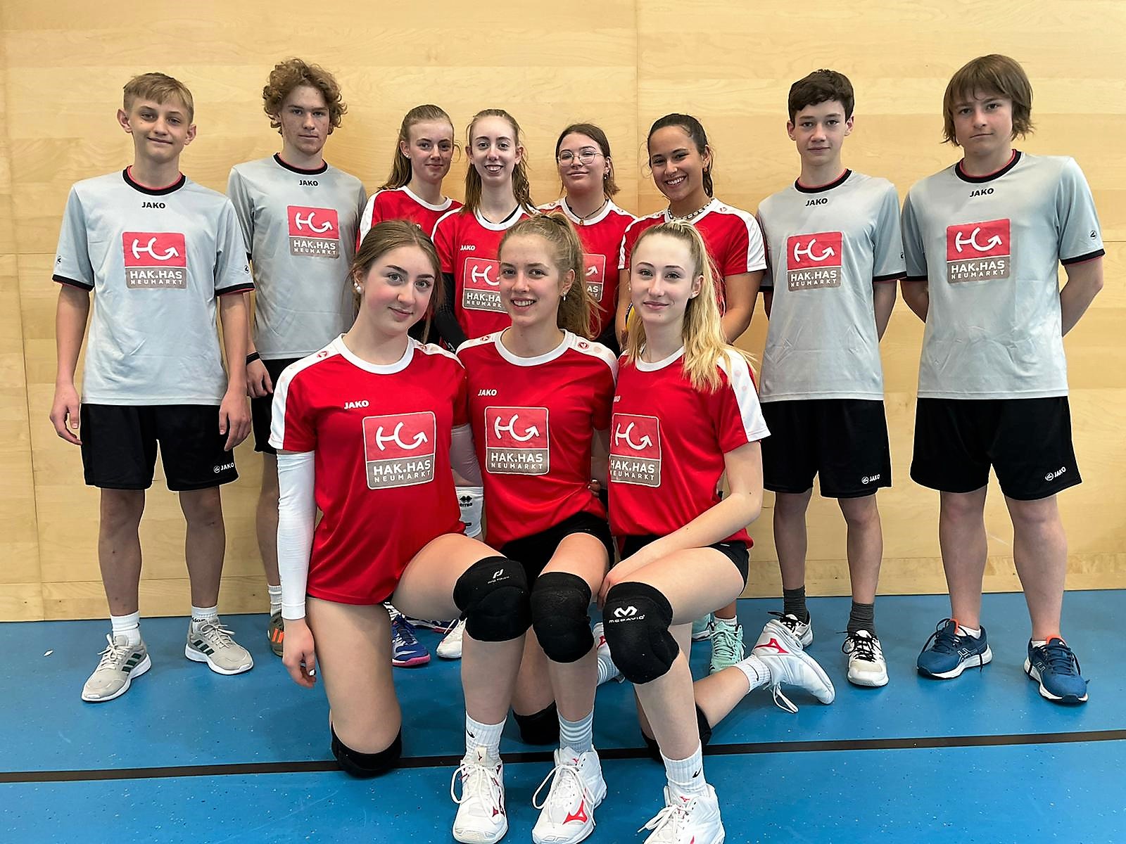 Volleyball-Mixed Landesmeisterschaften--Bild-Nr. 4