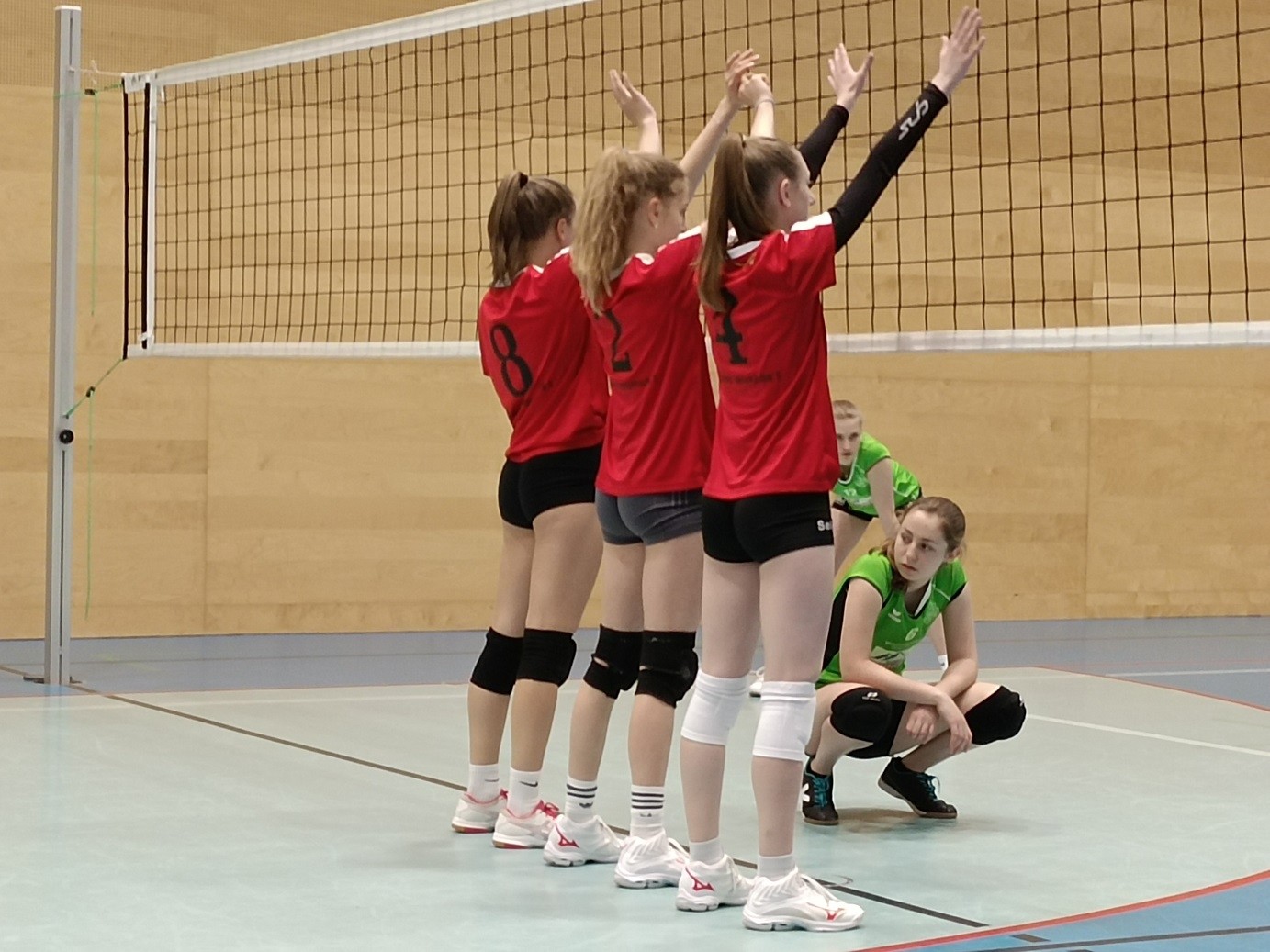 Volleyball Landesmeisterschaften Damen und Herren--Bild-Nr. 4