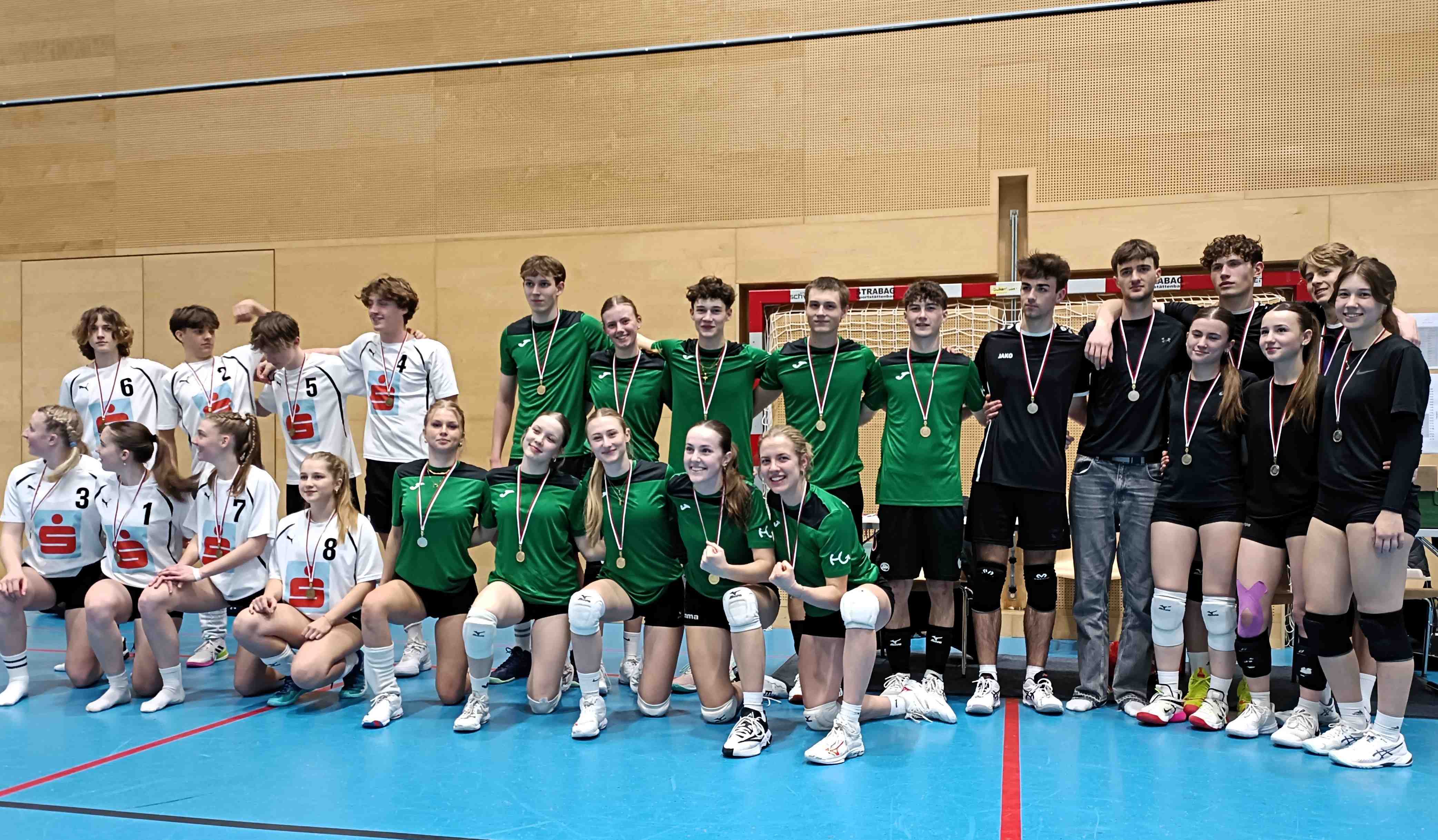 Wir sind Landesmeister im Volleyball-Mixed 2025!--Bild-Nr. 3