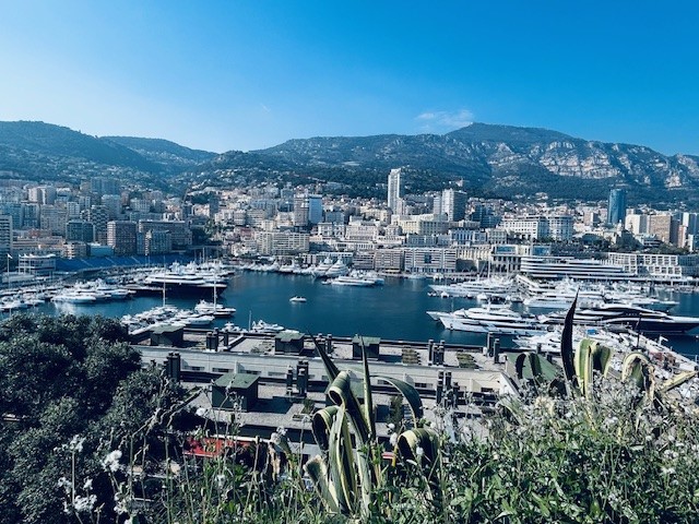 Französisch Sprachwoche in Nizza--Bild-Nr. 13