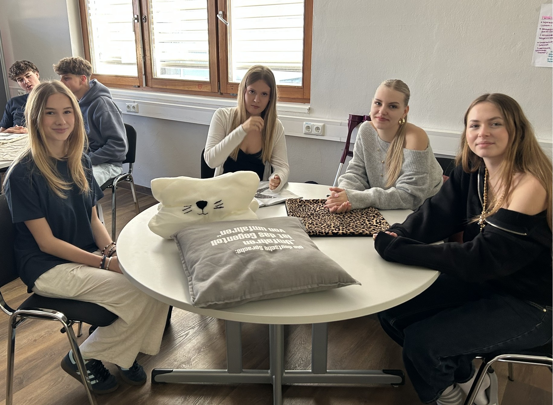 Junior Company der 2DHK – NUVANO - kooperiert mit „Proschlaf – Das Gesundheitshaus GmbH“--Bild-Nr. 4